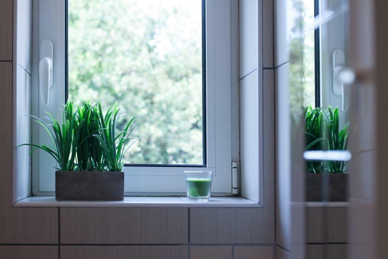 Apartment Helga Ližnjan エクステリア 写真